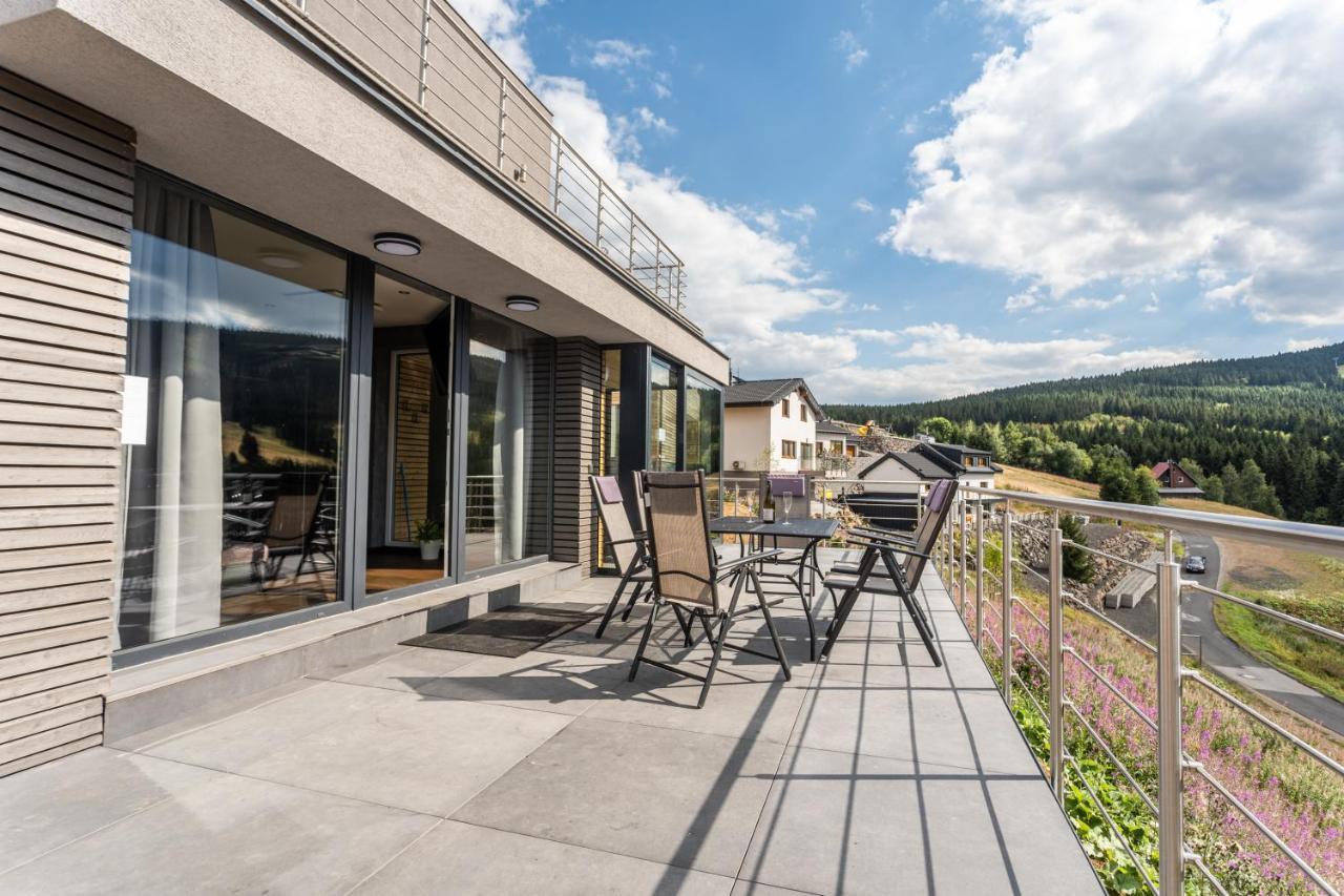 Wellness Villa Klinovec Views Loučná pod Klínovcem Eksteriør bilde